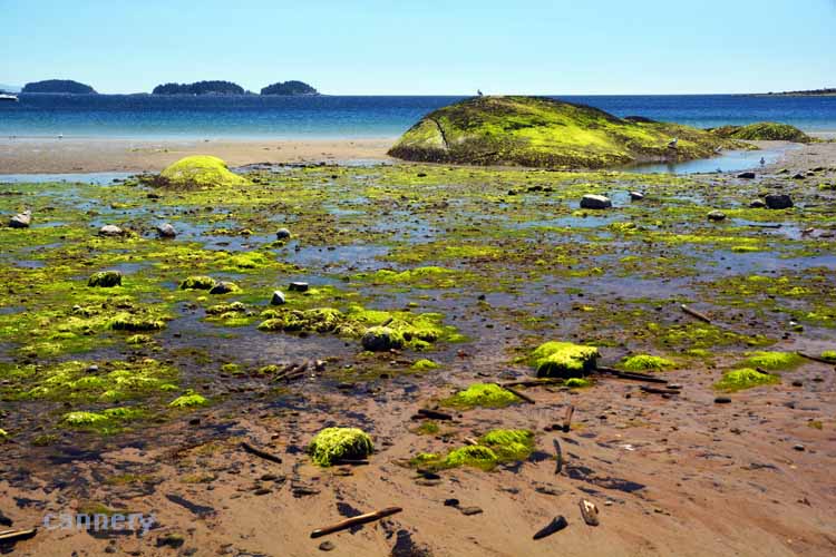 beach scene